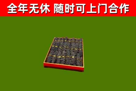红河回收海参